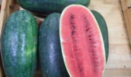 网红黑料51吃瓜网站