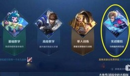 王者神偷最新爆料视频