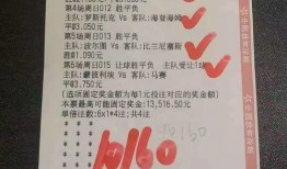 今日竞彩足彩推荐爆料,专业爆料，精准预测，助你一臂之力
